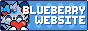 Blueberry Website