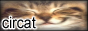 CIRCAT