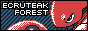 Ecruteak Forest