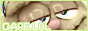 GARF.LOL