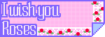 I Wish You Roses ꒱ ୨୧ ꒰