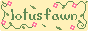 Lotus Fawn