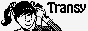Transy — The Computer Wore Pigtails
